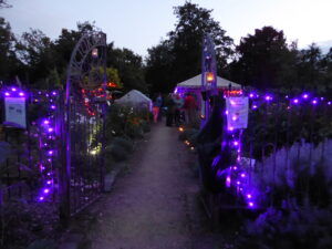 Last Friday in the Victorian Garden