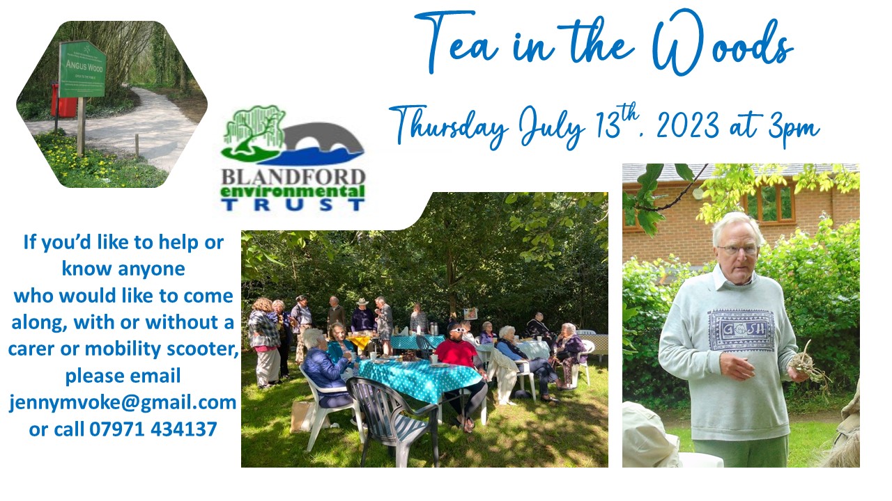 Tea in the Woods. If you'd like to help or know anyone who would like to come along, with or without a mobility scooter, please email jennymvoke@gmail.com or call 07971 434137